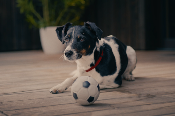 Imagine service Volkswagen