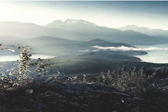 Igienizare climatizare - Audi